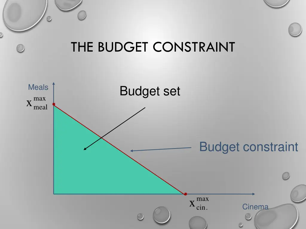 the budget constraint 6