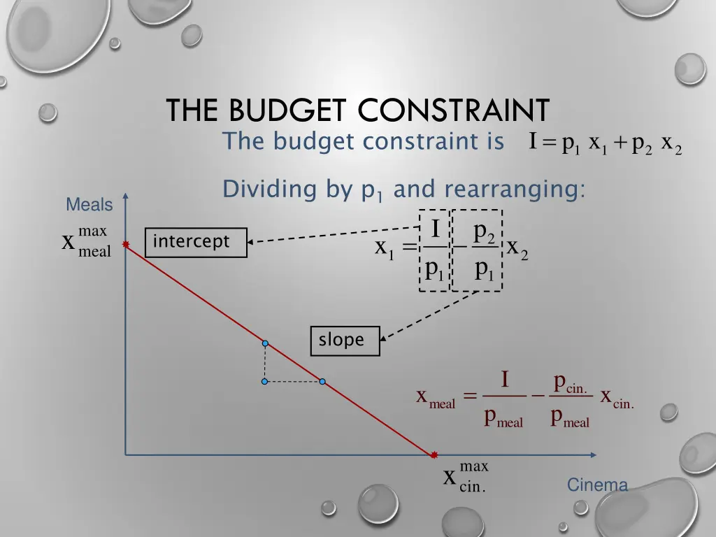 the budget constraint the budget constraint