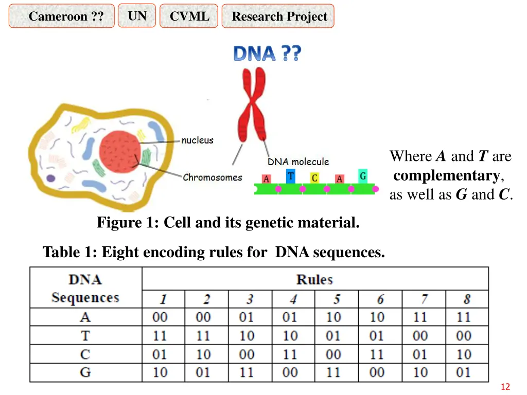 slide12
