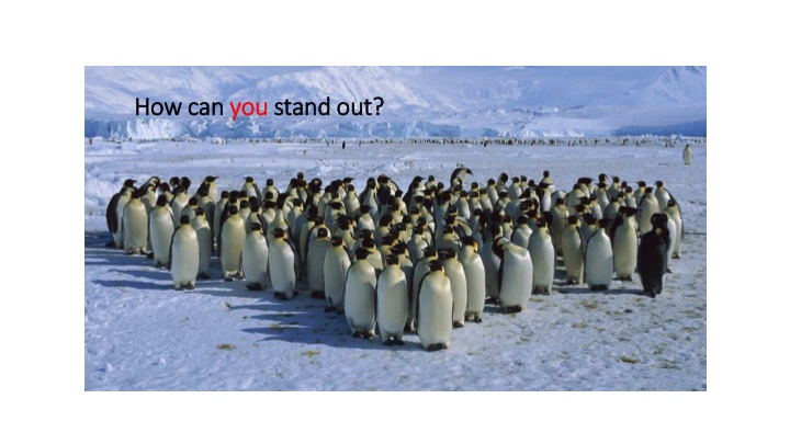 how can how can you