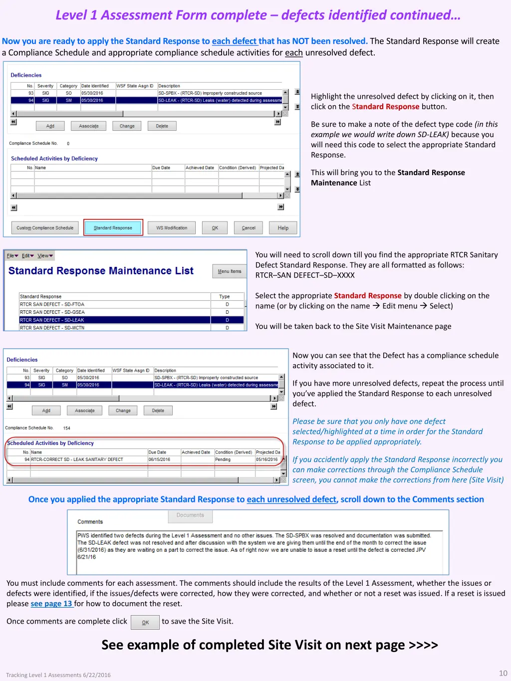 level 1 assessment form complete defects