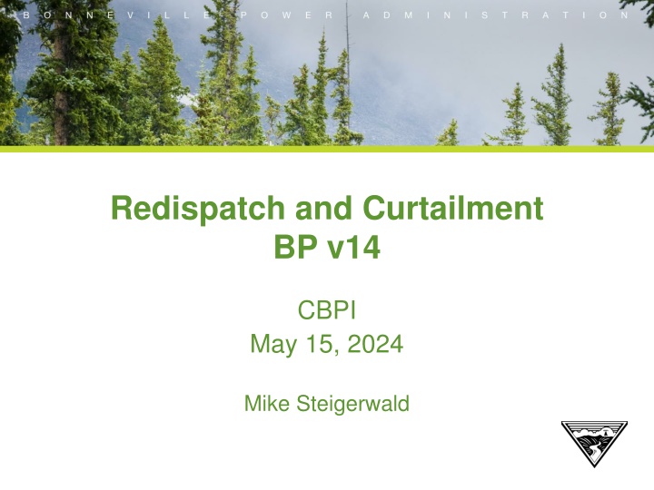 redispatch and curtailment bp v14