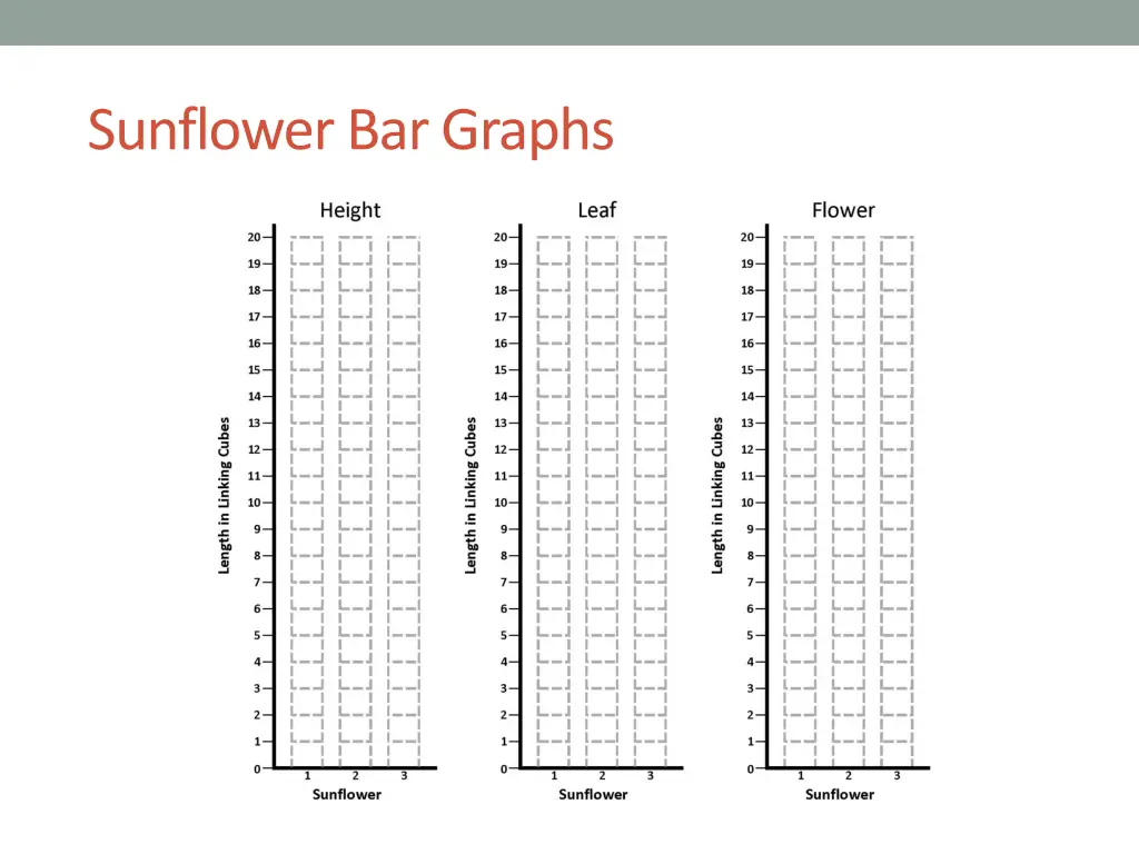 sunflower bar graphs