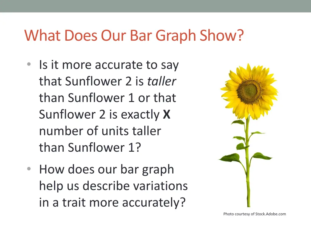 what does our bar graph show 2