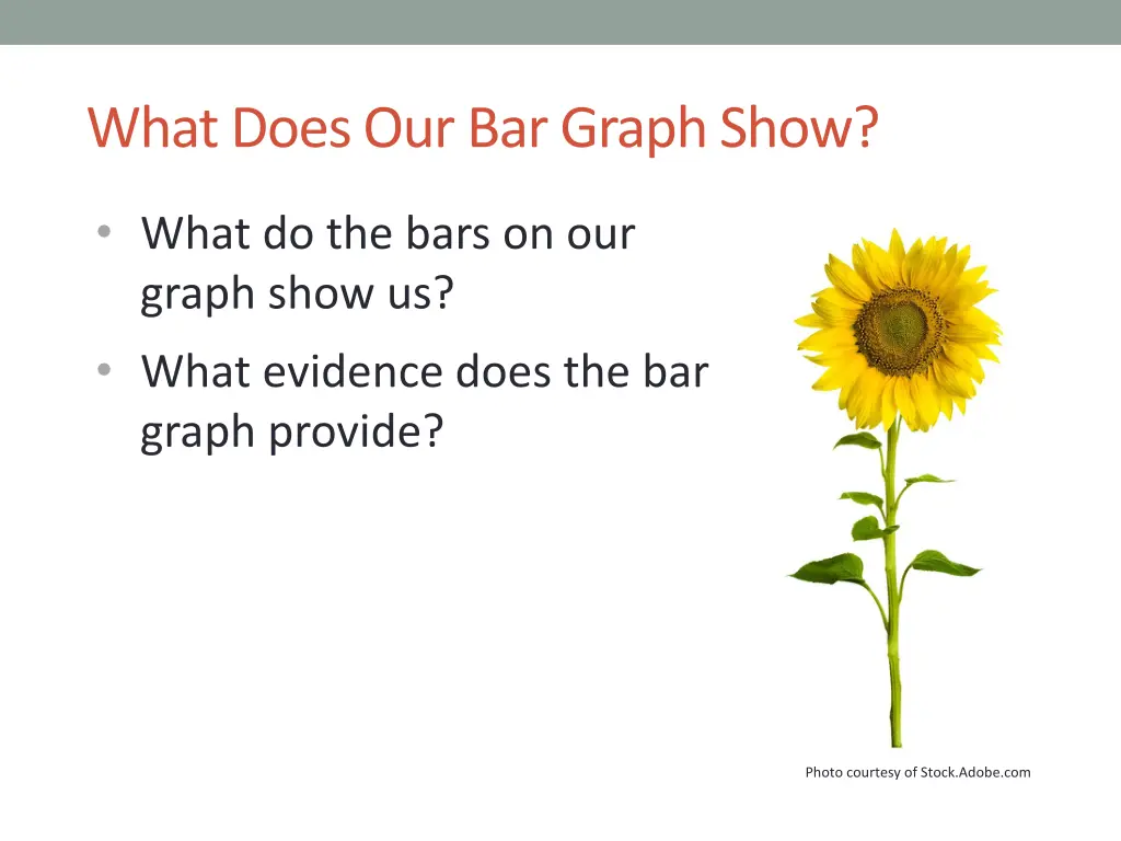 what does our bar graph show