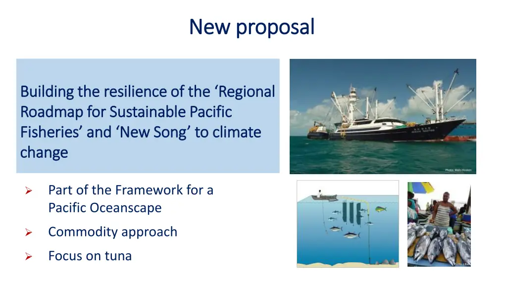 new proposal new proposal
