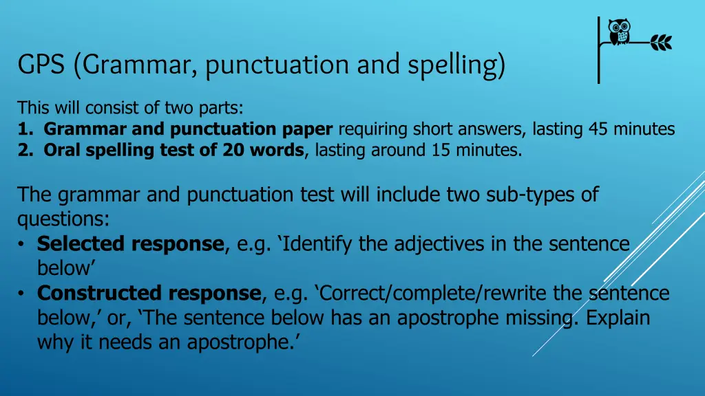 gps grammar punctuation and spelling