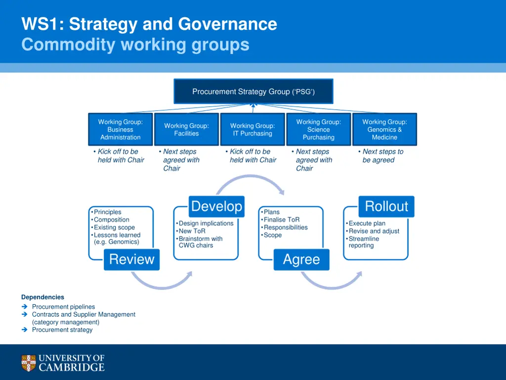 ws1 strategy and governance commodity working