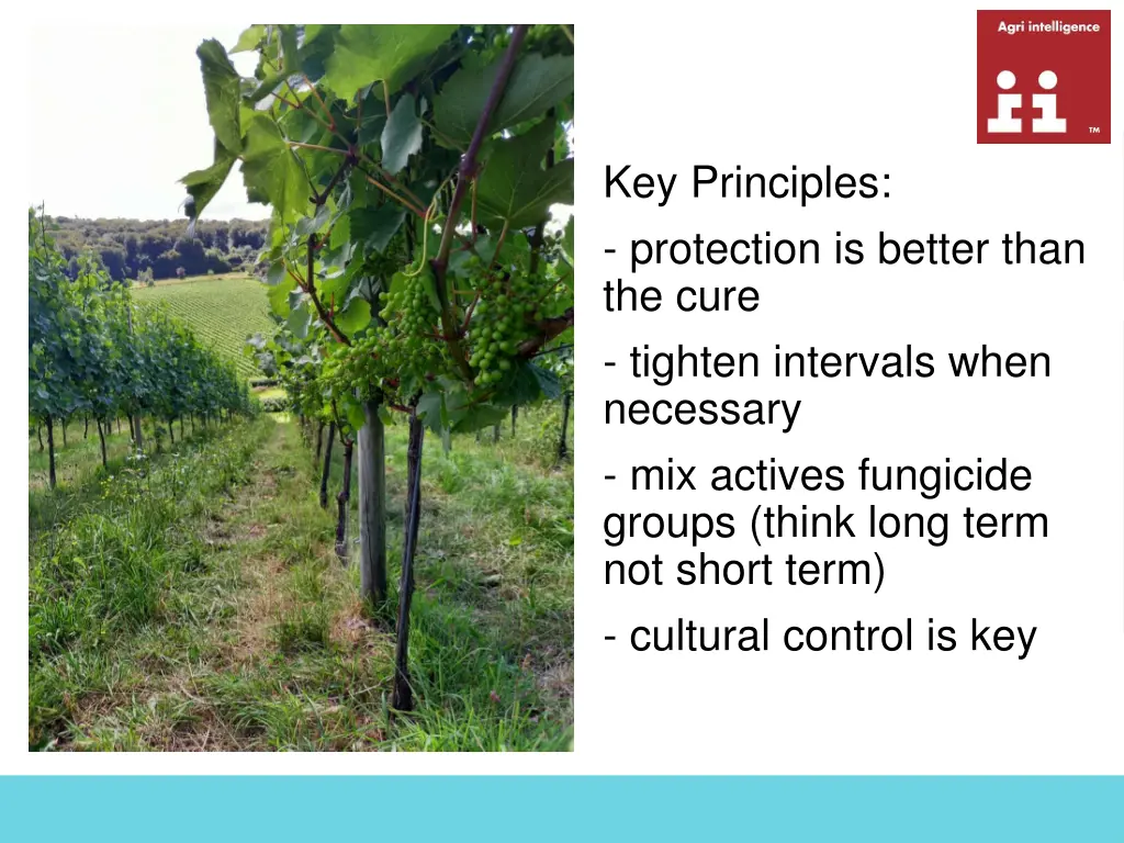 key principles protection is better than the cure