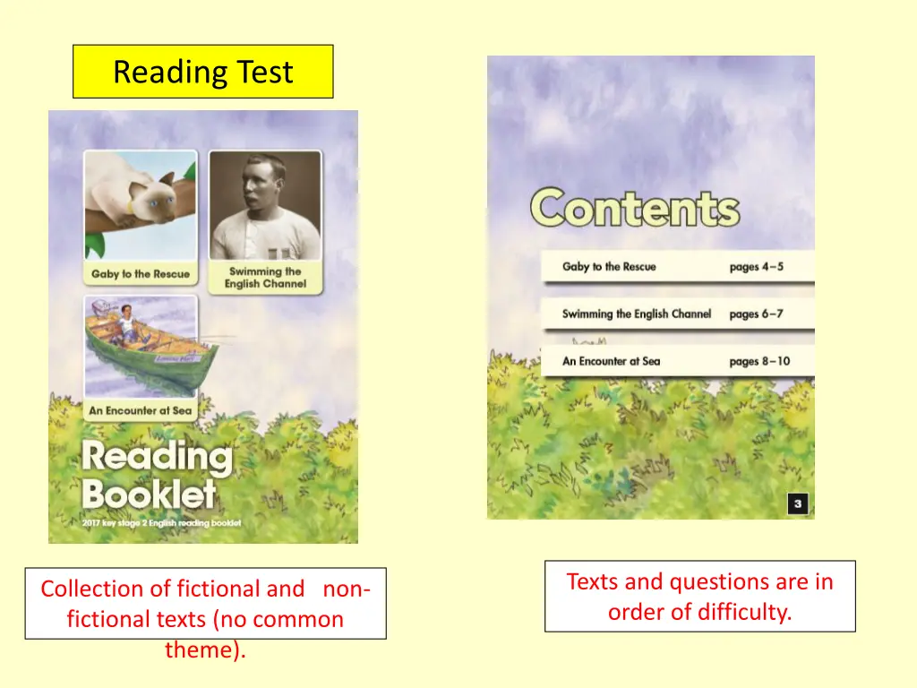 reading test