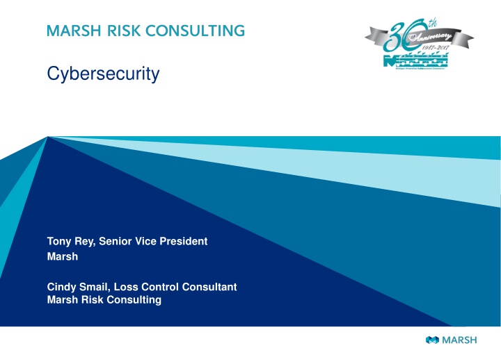 cybersecurity