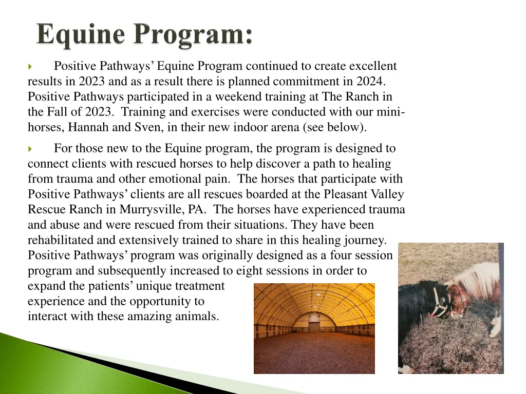 positive pathways equine program continued