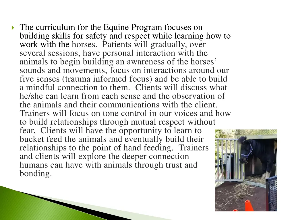 the curriculum for the equine program focuses