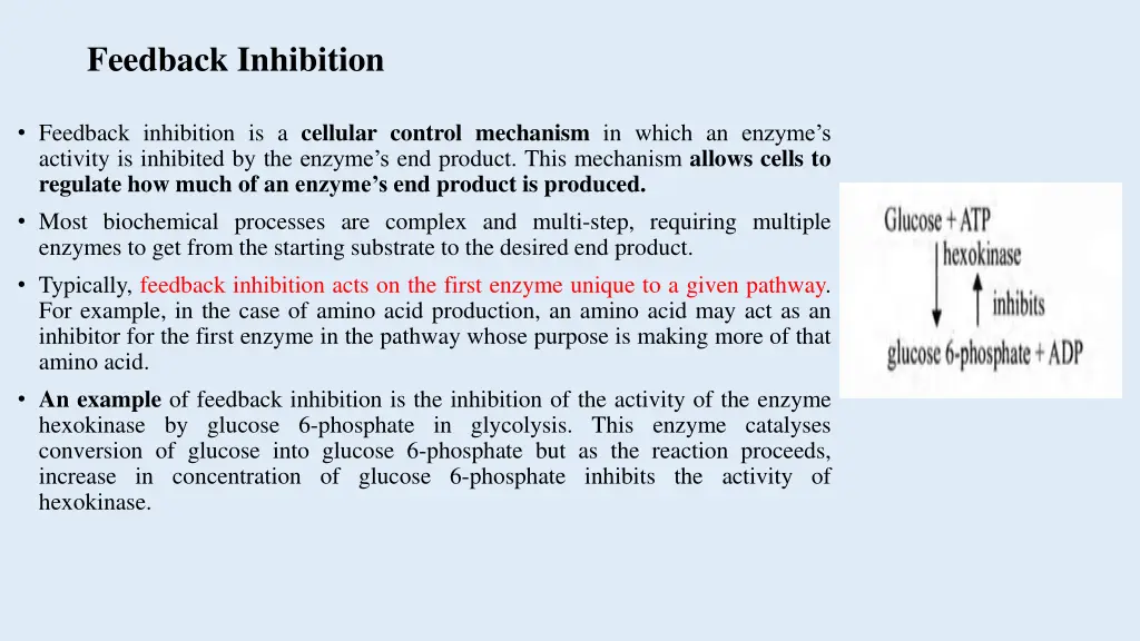 feedback inhibition