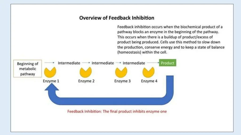slide7