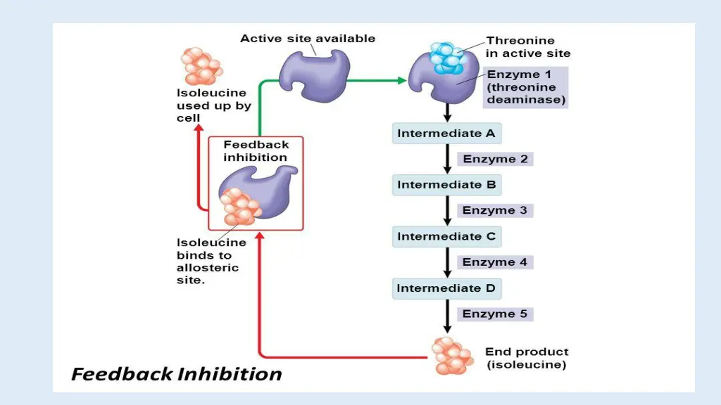 slide8