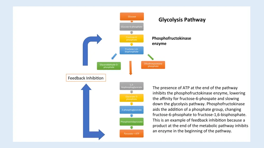 slide9