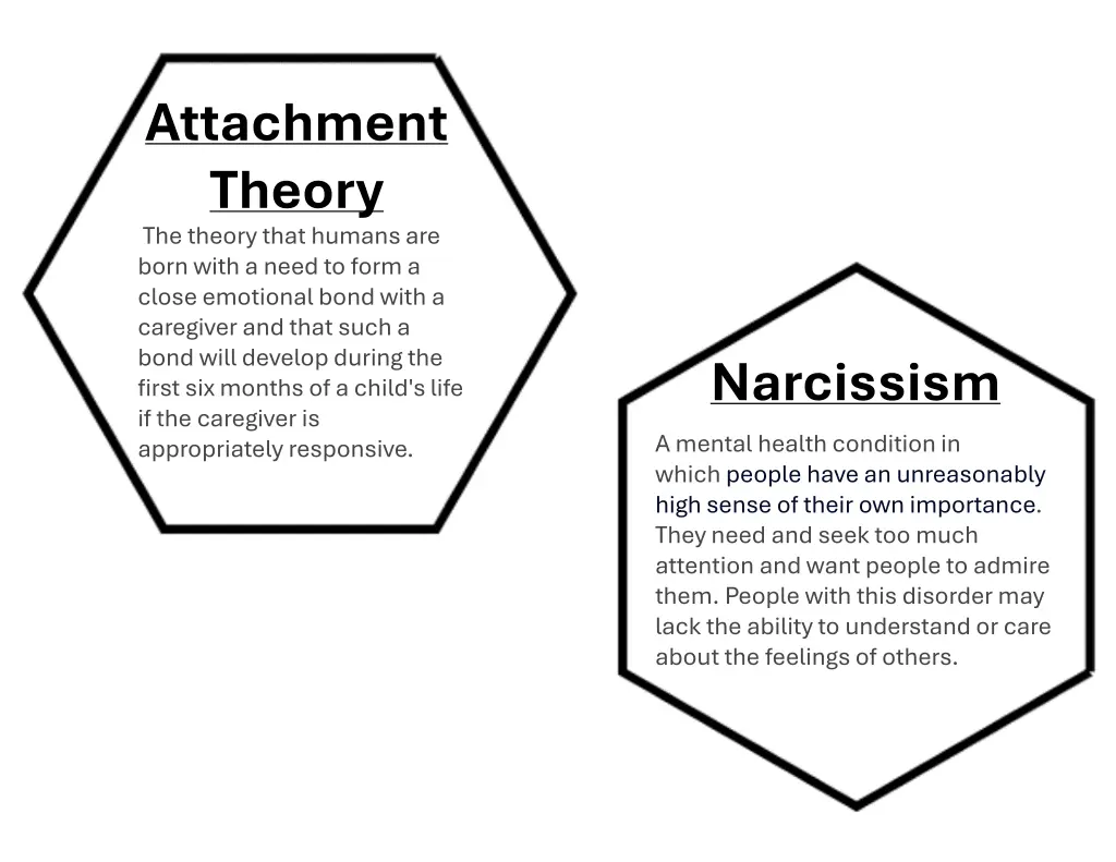 attachment theory the theory that humans are born