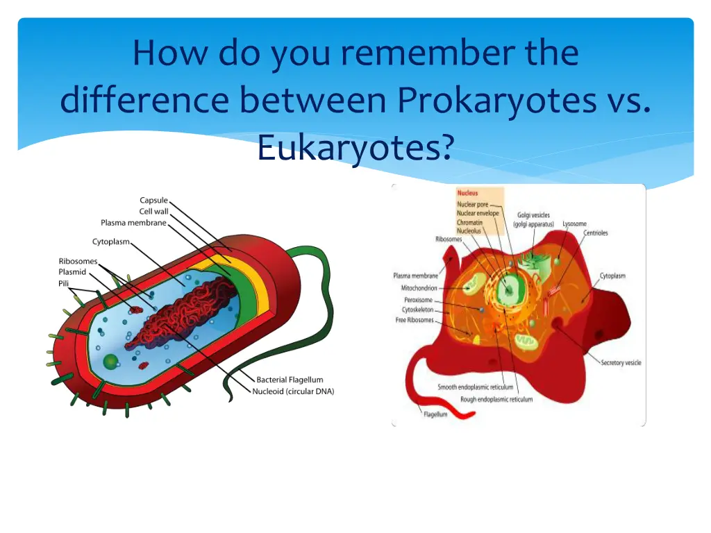 how do you remember the difference between