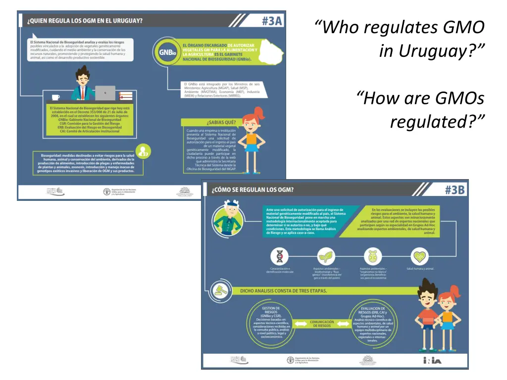 who regulates gmo in uruguay