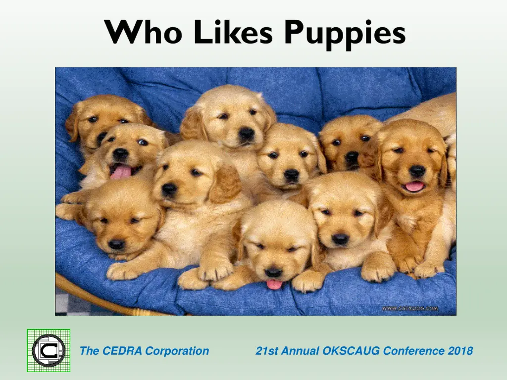 the cedra corporation