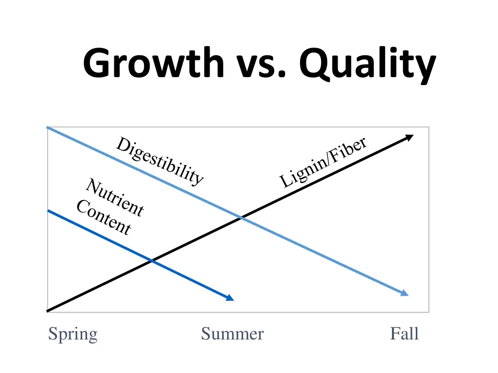 growth vs quality
