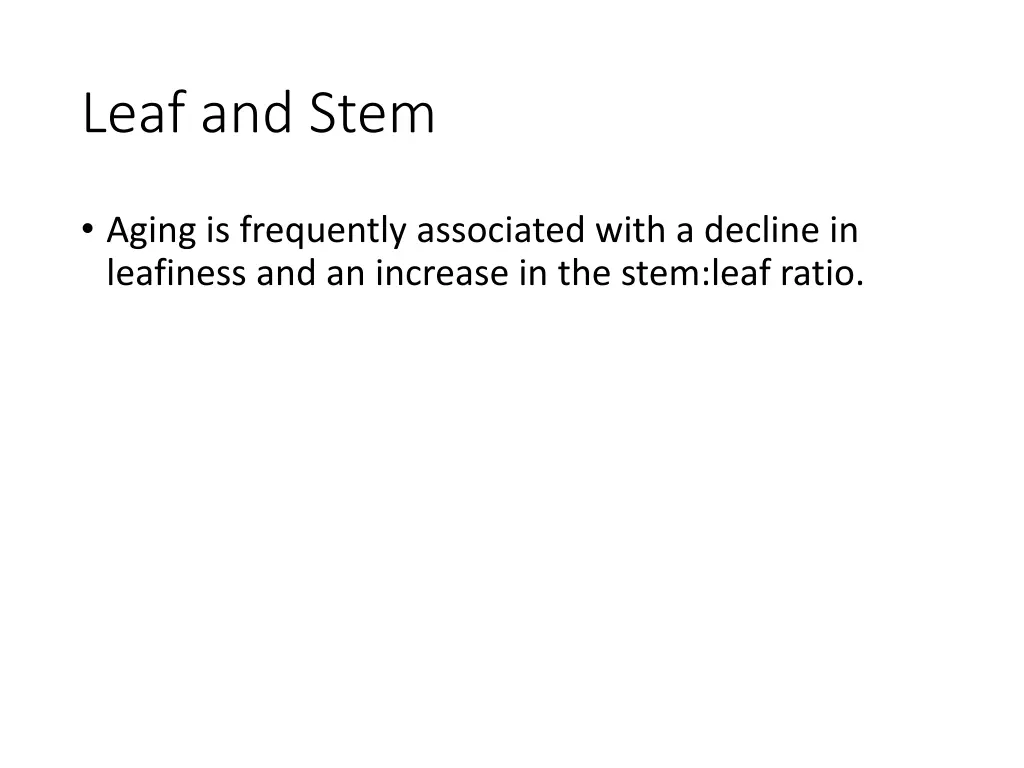 leaf and stem