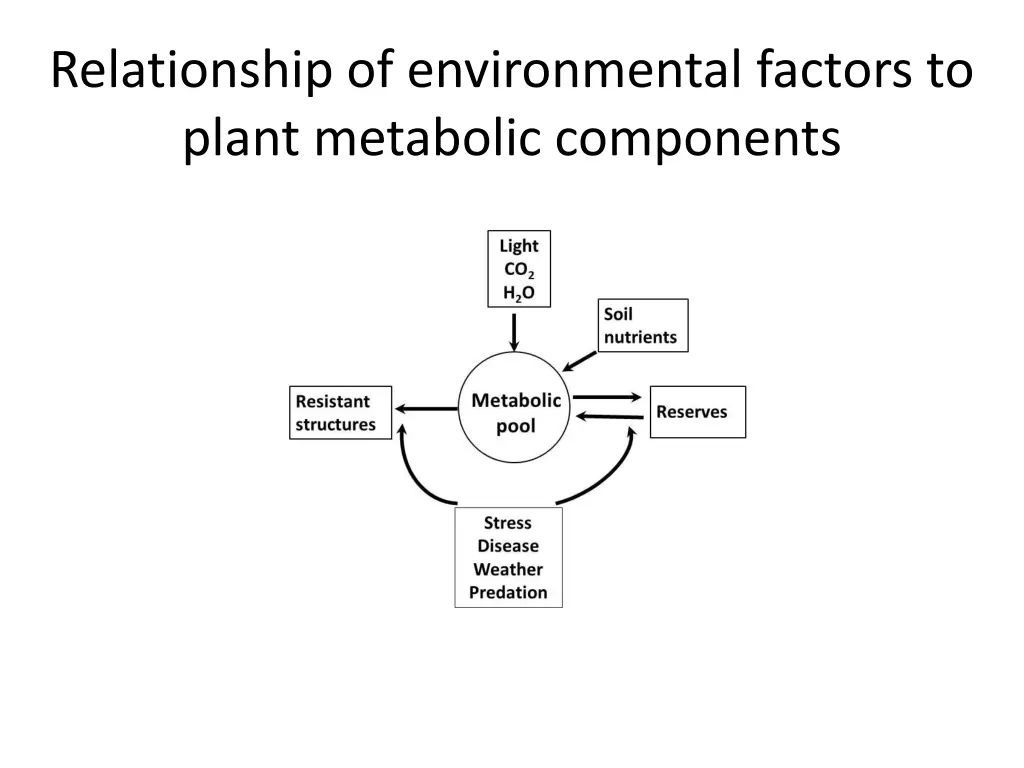 relationship of environmental factors to plant