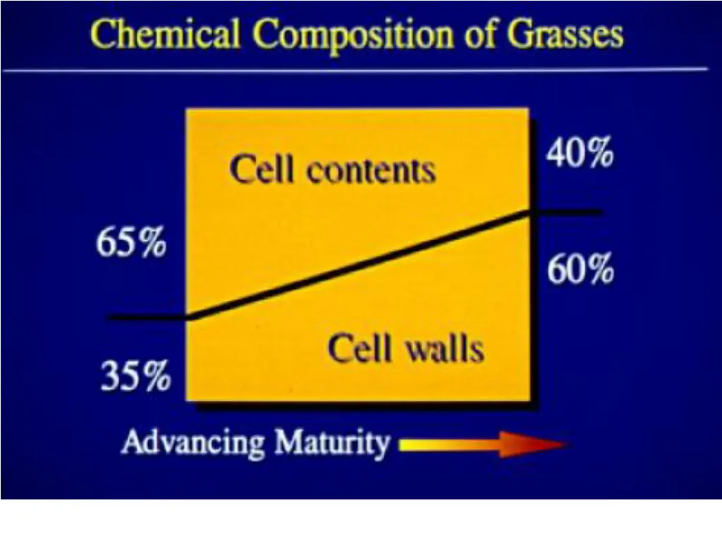 slide5