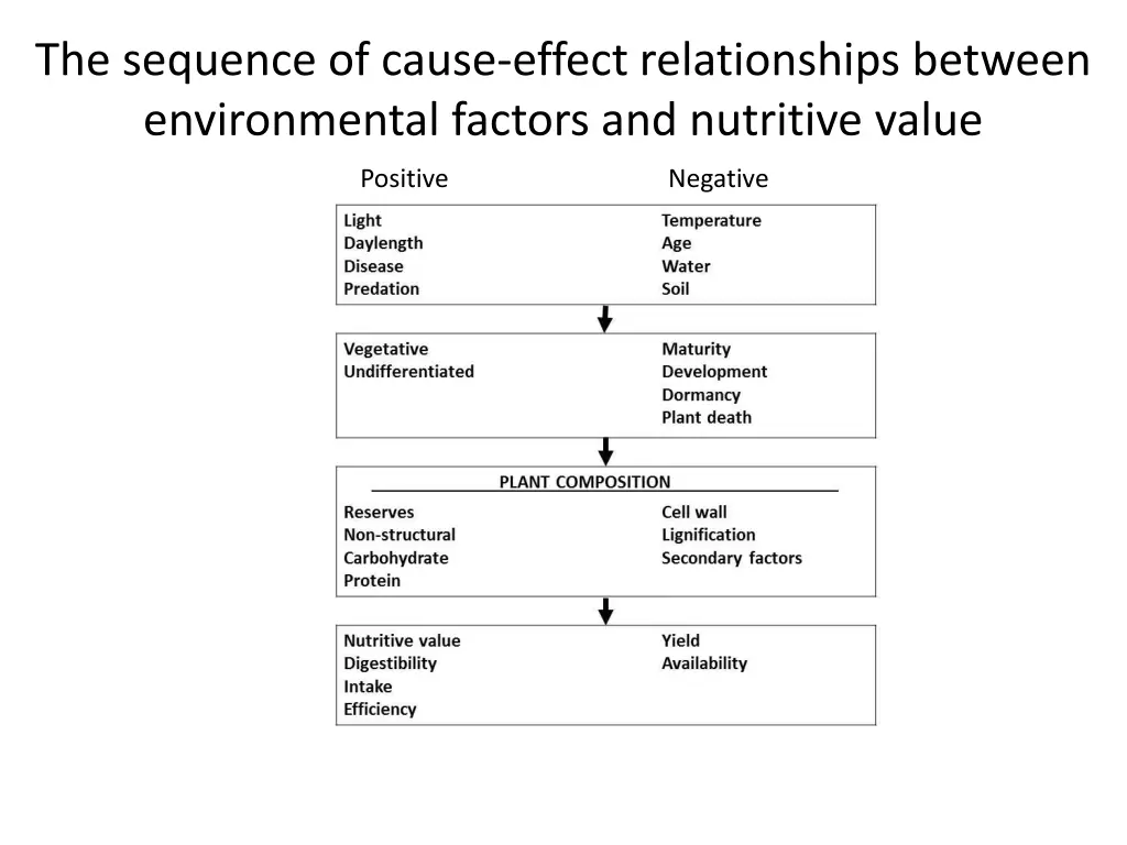 the sequence of cause effect relationships
