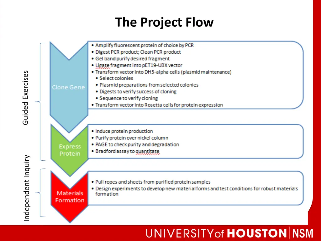 the project flow