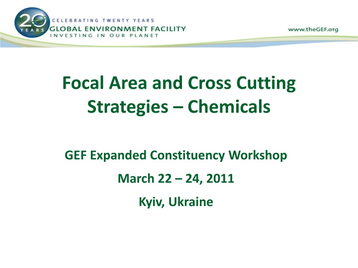 focal area and cross cutting strategies chemicals