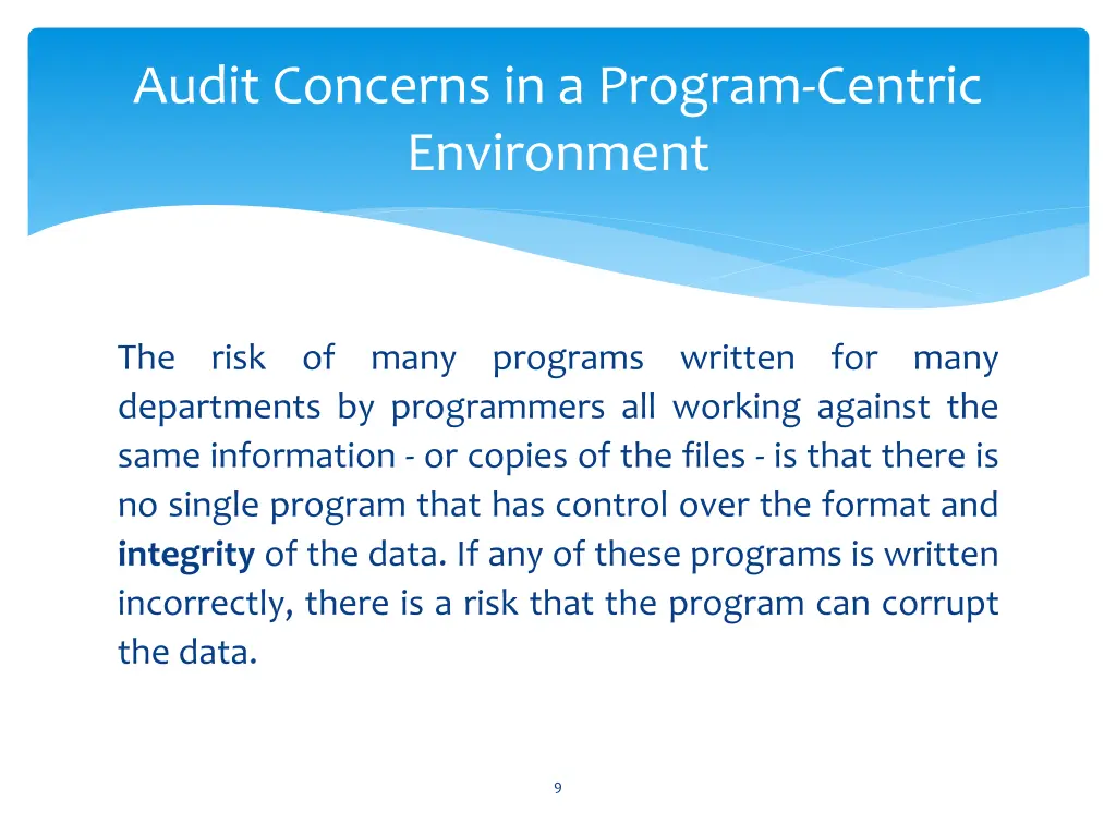 audit concerns in a program centric environment