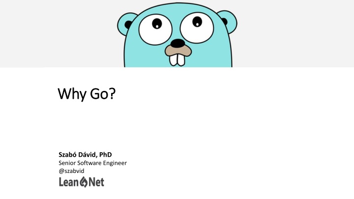why go why go