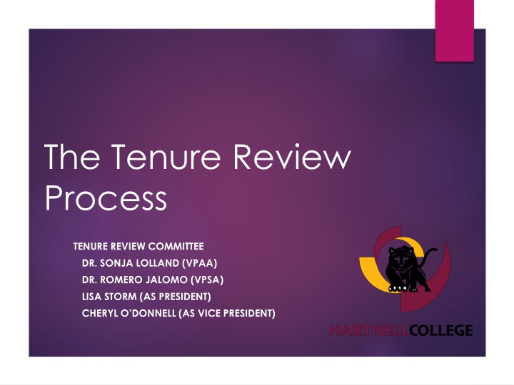 the tenure review process
