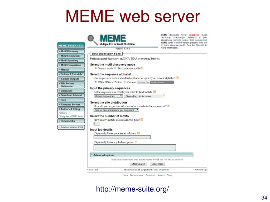 meme web server