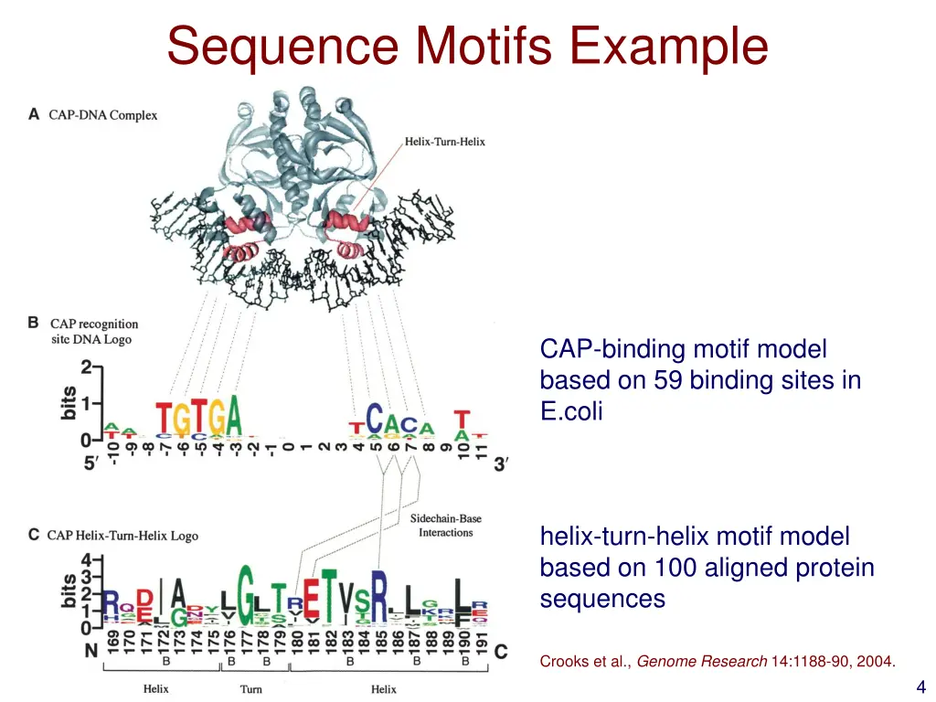 sequence motifs example