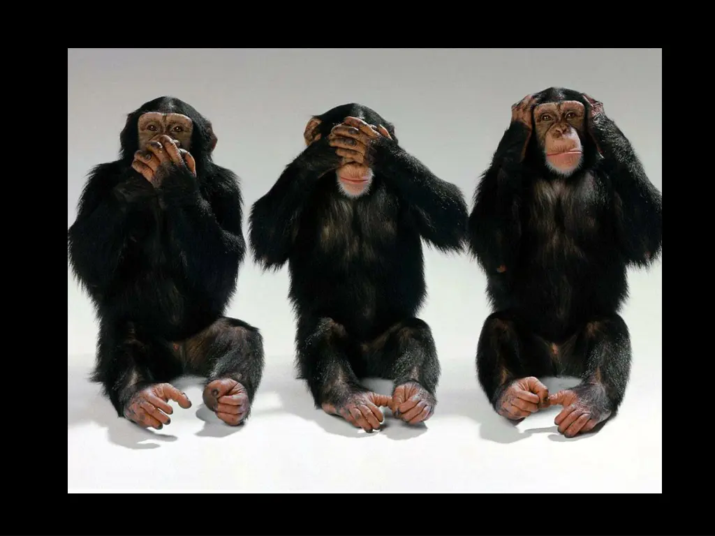 desktop wallpaper s miscellaneous hear no evil