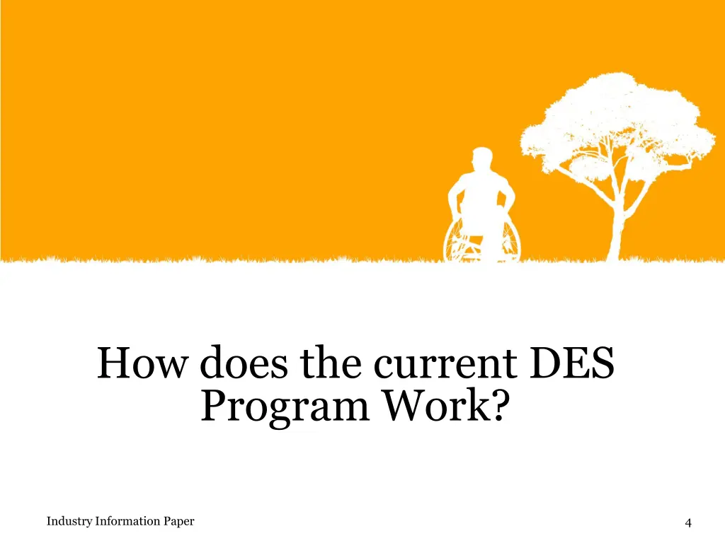 how does the current des program work