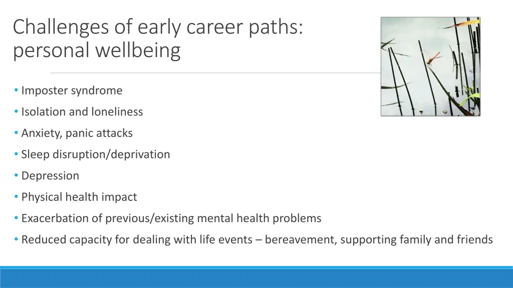 challenges of early career paths personal