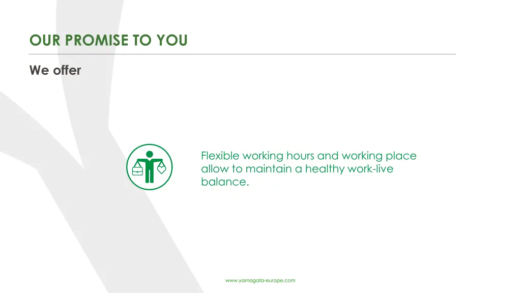 our promise to you 2