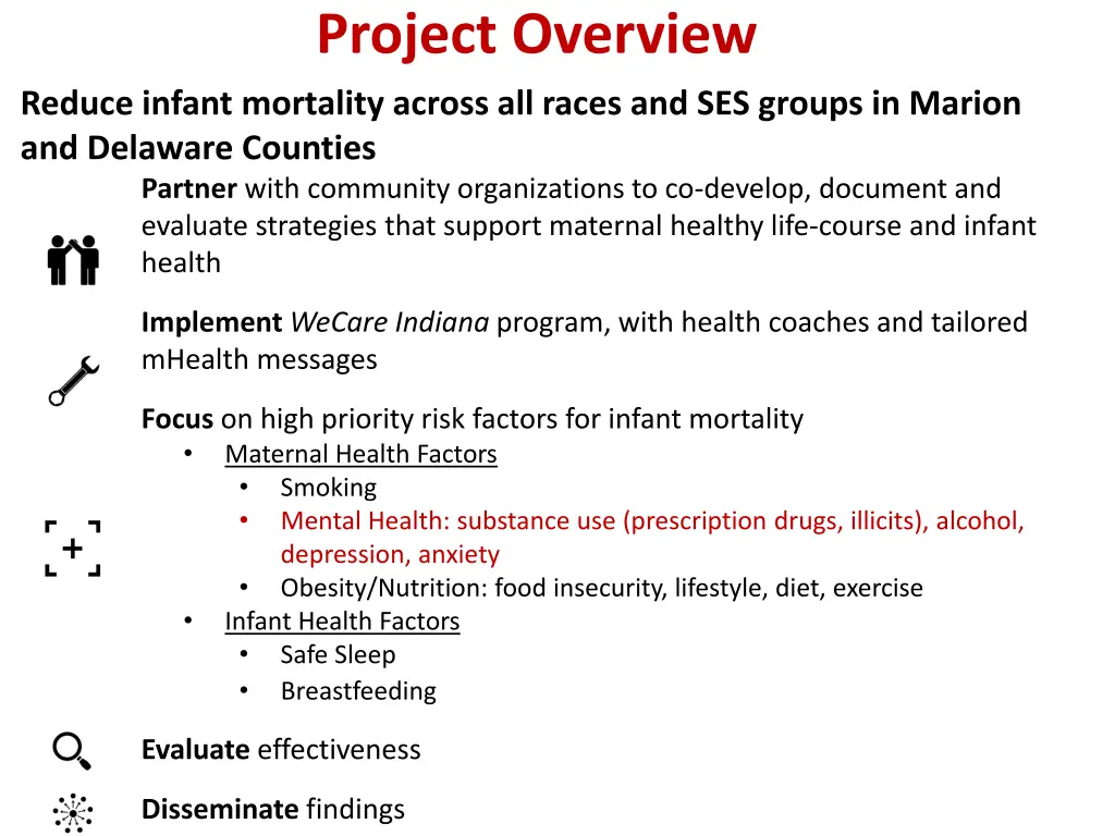 project overview