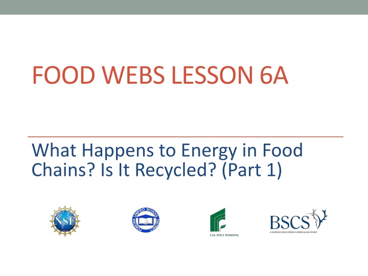 food webs lesson 6a