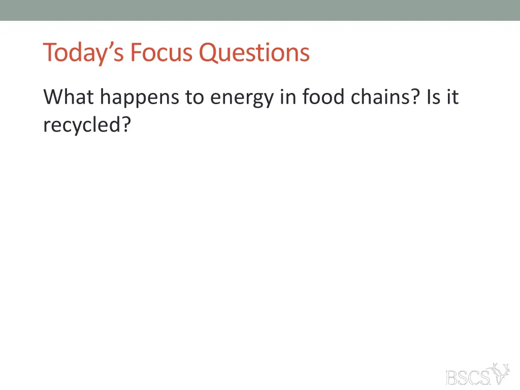 today s focus questions