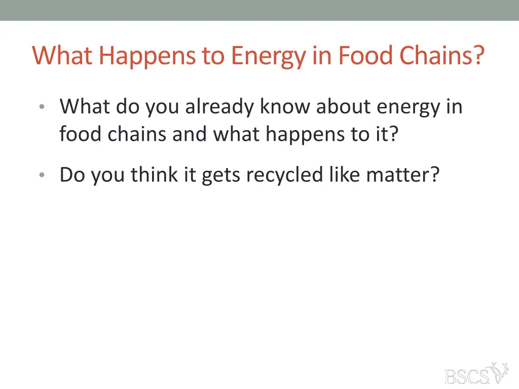 what happens to energy in food chains