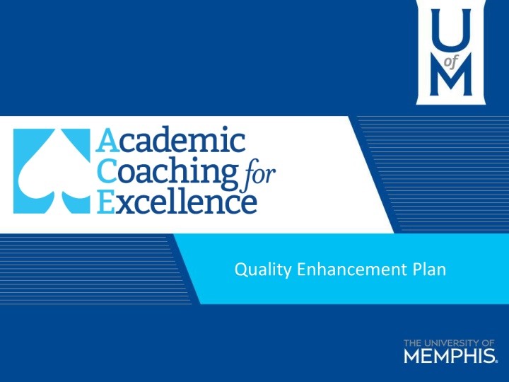 quality enhancement plan