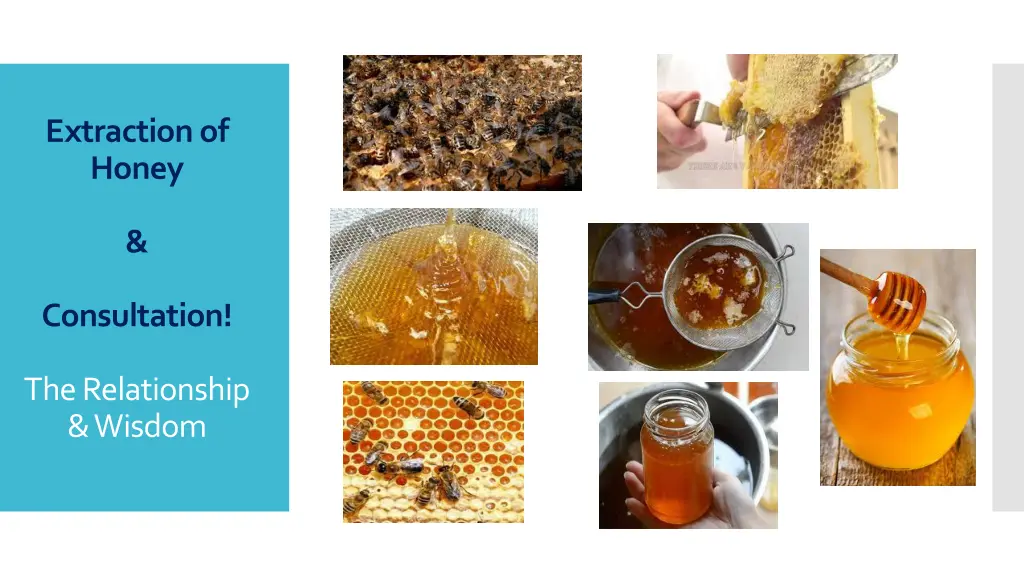 extraction of honey