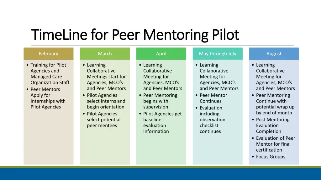 timeline for peer mentoring pilot timeline