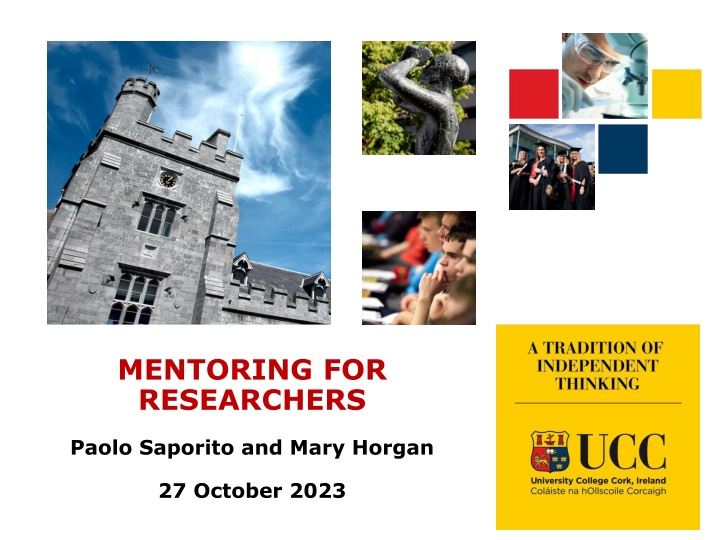 mentoring for researchers