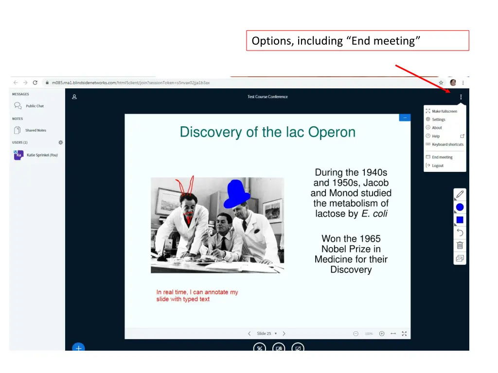 options including end meeting